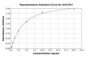 Representative standard curve for Human SEPT7 ELISA kit (A247357)