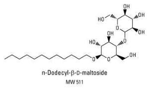 n-Dodecyl-beta-Maltoside Detergent, Thermo Scientific