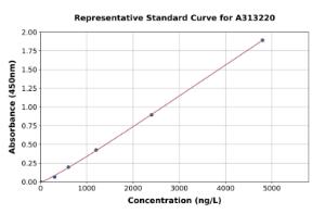 Representative standard curve for human claudin18 ELISA kit (A313220)