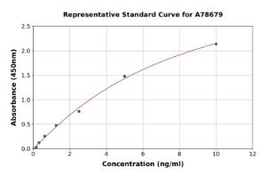 Representative standard curve for Mouse Prostate Specific Antigen ELISA kit (A78679)