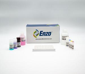 DNA damage ELISA kit