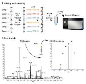 Pierce™ aminoxyTMTsixplex™ Label Reagent Set, Thermo Scientific