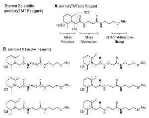 Pierce™ aminoxyTMTsixplex™ Label Reagent Set, Thermo Scientific