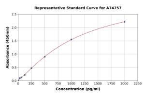Representative standard curve for Human HSP70 1A/HSP72 ELISA kit (A74757)