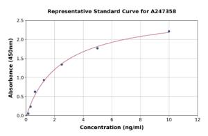 Representative standard curve for Human DUBA ELISA kit (A247358)