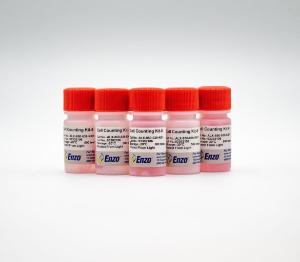 Cell counting Kit-8