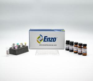 Protein carbonyl ELISA kit