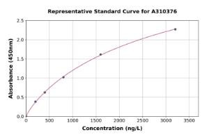 Representative standard curve for Mouse NOX2/Gp91phox ELISA kit (A310376)