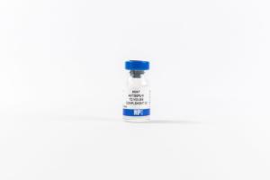 Anti-mouse Complement C3 goat antiserum, 2 ml