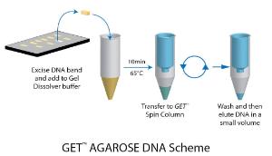 GET™ AGAROSE DNA for Rapid DNA Extraction, G-Biosciences