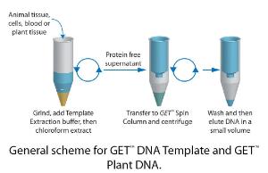GET™ DNA Template for Spin Column Genomic DNA Isolation, G-Biosciences