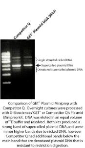 GET™ Plasmid DNA for Plasmid DNA Isolation, G-Biosciences