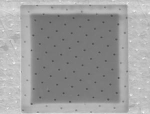 Quantifoil r 1/4 holey carbon films on grids