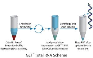 GET™ Total RNA for Small Scale, Spin Format RNA Purification, G-Biosciences