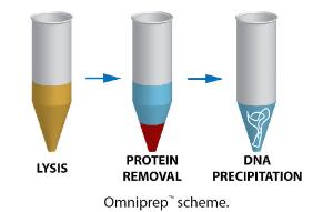 OmniPrep™ for Genomic DNA Purification, G-Biosciences