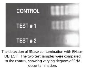 RNase-DETECT™ for Detection of RNase Contamination, G-Biosciences