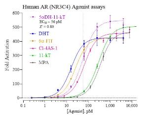 AR reporter assay agonist dose response graph