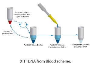 XIT™ DNA for Protein-Free DNA Isolation, G-Biosciences