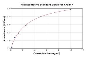 Representative standard curve for Rat Cross Linked C-telopeptide of Type I Collagen/CTXI ELISA kit (A79247)