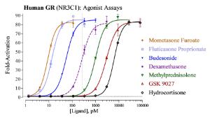 GR reporter assay agonist dose response graph
