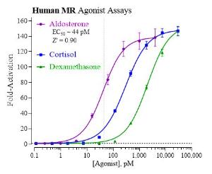 MR reporter assay agonist dose response graph