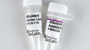 NEBuilder HiFi DNA Assembly Bundle for Large Fragments