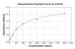 Representative standard curve for Mouse Renalase ELISA kit (A78743)