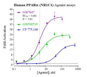 PPAR Alpha reporter assay agonist dose response graph
