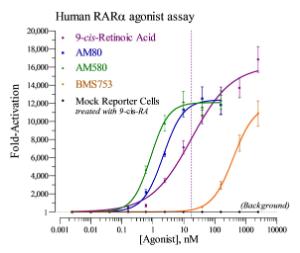 RAR Alpha reporter assay agonist dose response graph