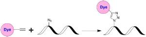 Image for Tide Quencher™ 2WS alkyne [TQ2WS alkyne]