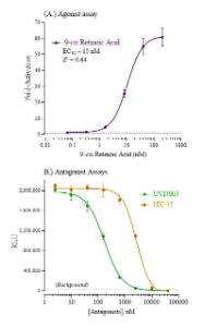 RXR Alpha reporter assay agonist and antagonist dose response graph