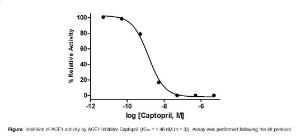 Angiotensin I Converting Enzyme (ACE1) Inhibitor Screening Kit, BioVision