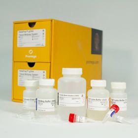 ReliaPrep gDNA Tissue Miniprep System, 100 preps