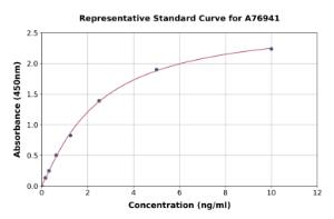 Representative standard curve for Human NG2 ELISA kit (A76941)