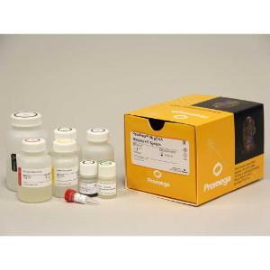 Maxwell HT 96 gDNA Blood Isolation System, 1 x 96 preps