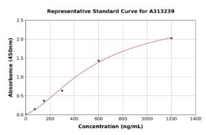 Representative standard curve for human MATE-1 ELISA kit (A313239)