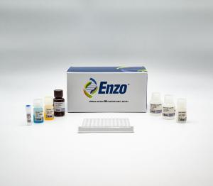 17β-Estradiol high sensitivity ELISA kit