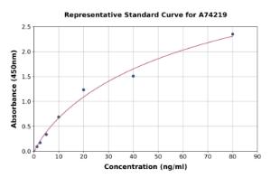 Representative standard curve for Mouse p38 alpha/MAPK14 ELISA kit (A74219)