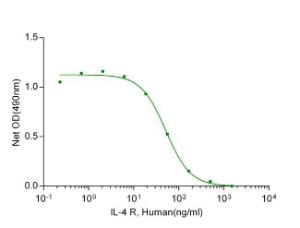 IL-4 R, Human