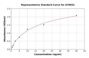 Representative standard curve for Human HLA G ELISA kit (A76952)