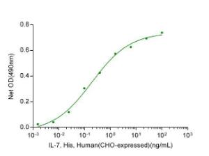 IL-7, His, Human(CHO-expressed)