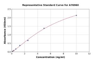 Representative standard curve for Human MMP13 ELISA kit (A76960)