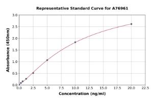 Representative standard curve for Rat MMP13 ELISA kit (A76961)