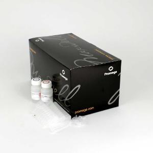 Maxwell® 16 LEV simplyRNA Purification Kits, Promega