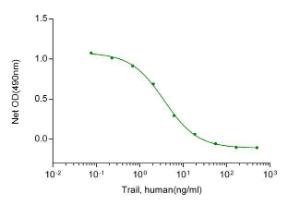 TRAIL/Apo2L, Human