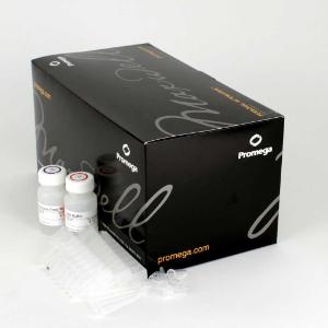 Maxwell® RSC Blood DNA Kit, Promega