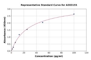 Representative standard curve for Human Anti-MMP2 ELISA kit (A303155)