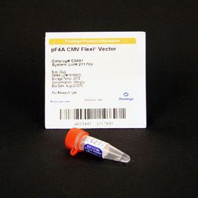 pF4A CMV Flexi Vector, 20 µg, Promega