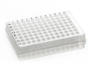 96 well skirted PCR plate