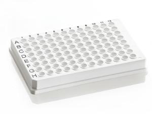 96 well skirted PCR plate